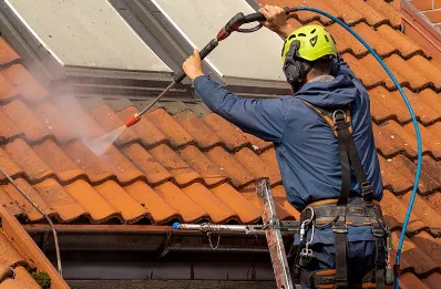 Démoussage et hydrofuge de toiture à Lixy